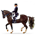 depositphotos_169292386-stock-illustration-equestrian-sport-horsewoman-jockey-in.png