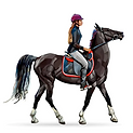 depositphotos_162565078-stock-illustration-horse-with-rider-jockey-on.png